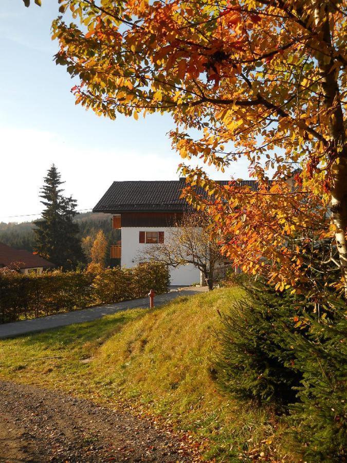 Ferienwohnung Piller Hohenau Eksteriør billede